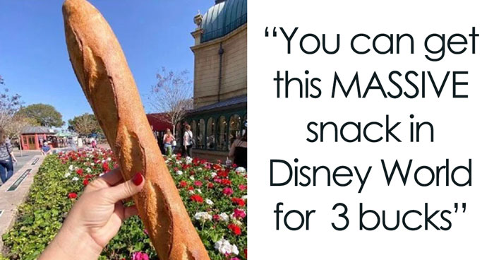 30 Posts Summing Up The Reality Of ‘Disney Adults’