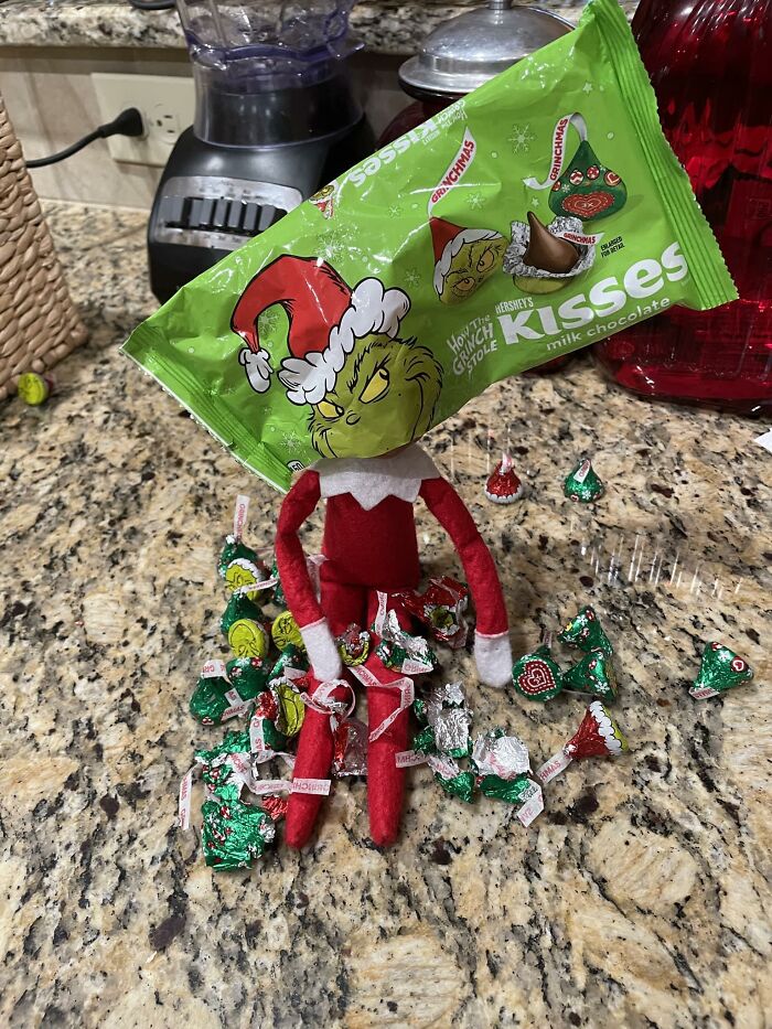 Bucky - Our Elf !!!! This One Went Over Great!!