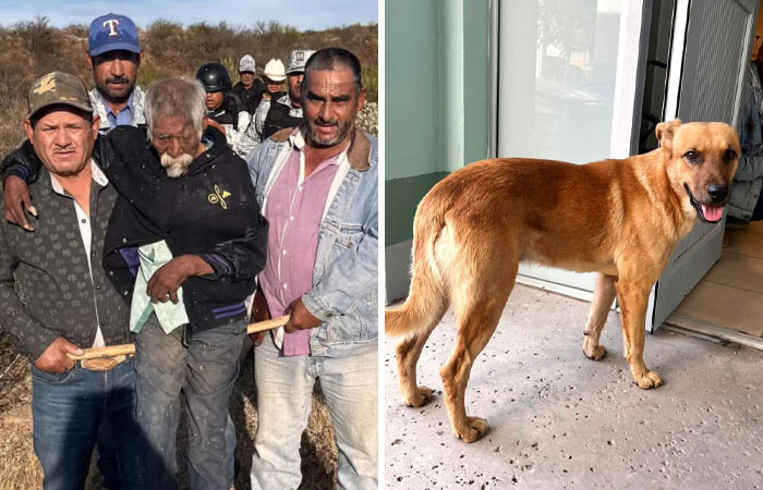 Dog Named Palomo Has Helped Mexican Authorities To Find His Missing Owner