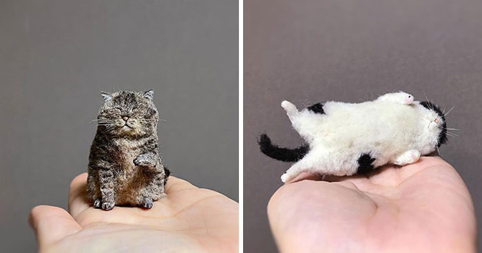 This Artist Makes Realistic-Looking Felted Little Cats In Various Signature Cat Poses (45 Pics)