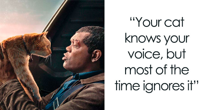 50 Fun Facts About Cats To Sink Your Claws Into