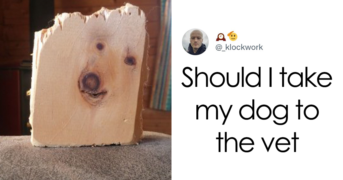 119 Of The Funniest Tweets Of All Time That Make Us Laugh Every Time