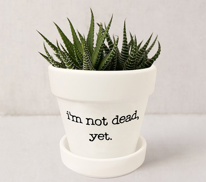Funny Plant Pot