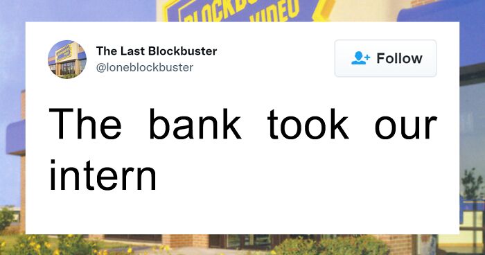 35 Hilarious Gems From “The Last Blockbuster” Twitter Account (New Posts)