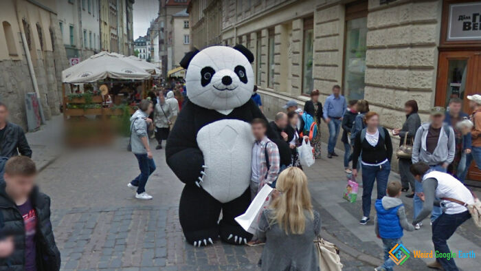 "Panda Man". Location: Lviv, Ukraine