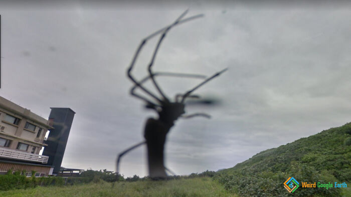 "Giant Spider". Location: Tainan, Taiwan