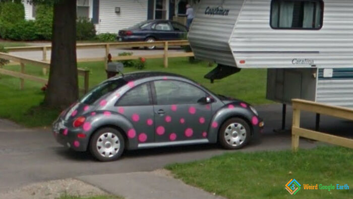 "Lady(Beetle)bug". Bangor, Maine, USA
