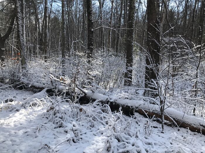 Late September In New Hampshire, United States