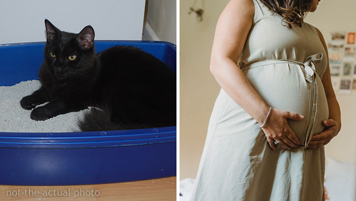 Guy Wonders If He’s A Jerk For Refusing To Clean The Litter Box While His Wife Is Pregnant, The Internet Doesn’t Hold Back
