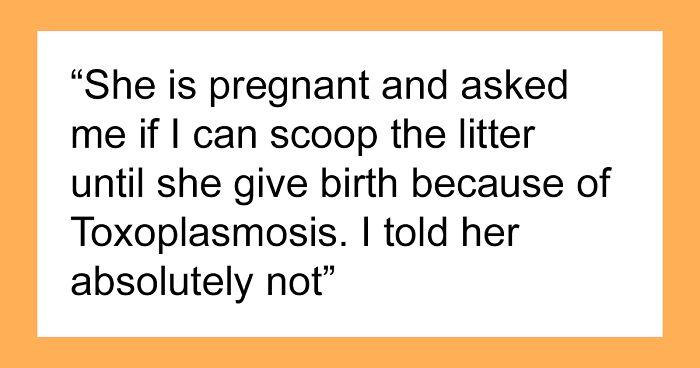 Guy Wonders If He’s A Jerk For Refusing To Clean The Litter Box While His Wife Is Pregnant, The Internet Doesn’t Hold Back