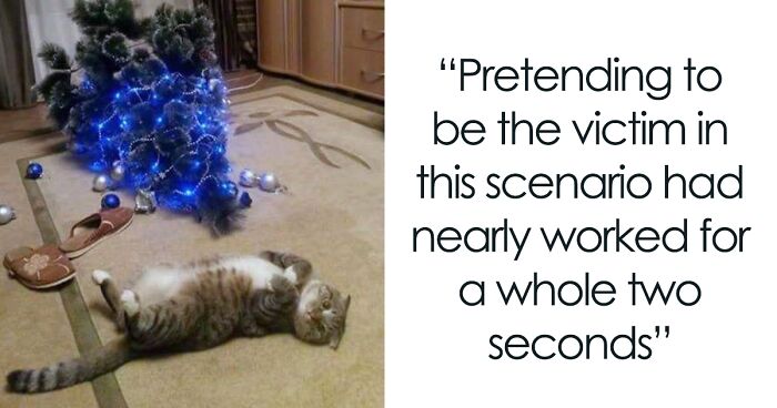 40 Of The Funniest Christmas Tweets This Year