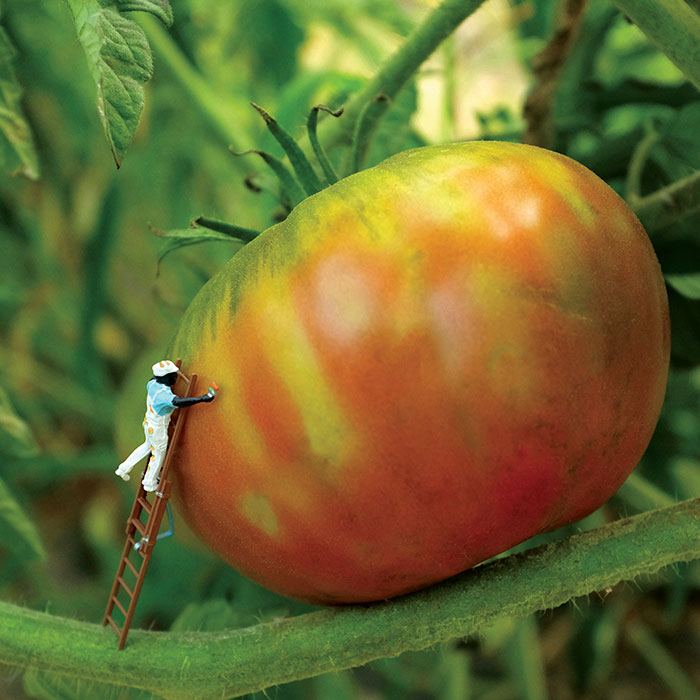 I Spent A Year Photographing The Tiny Residents Of Our Vegetable Farm, And Here Are The Best 20 Photos