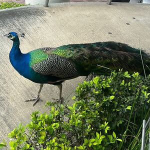 lore_canteros avatar