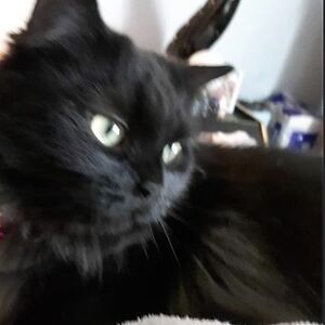 emilywillcox-beney avatar