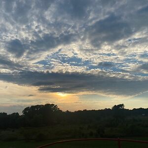 jennifermartens avatar