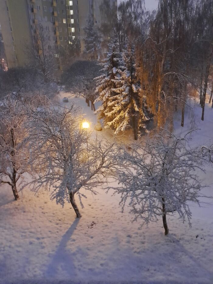 My Wonderful Mum Sent Me This. Poland