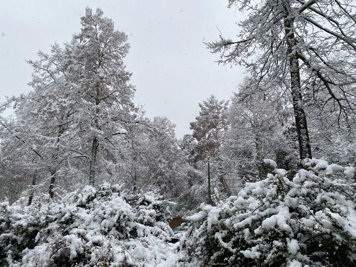 Winter In Eastern Germany