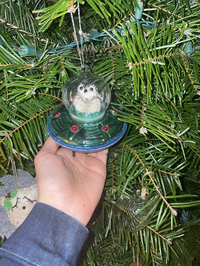Random Dj Hedgehog Ornament I Got From A Friend