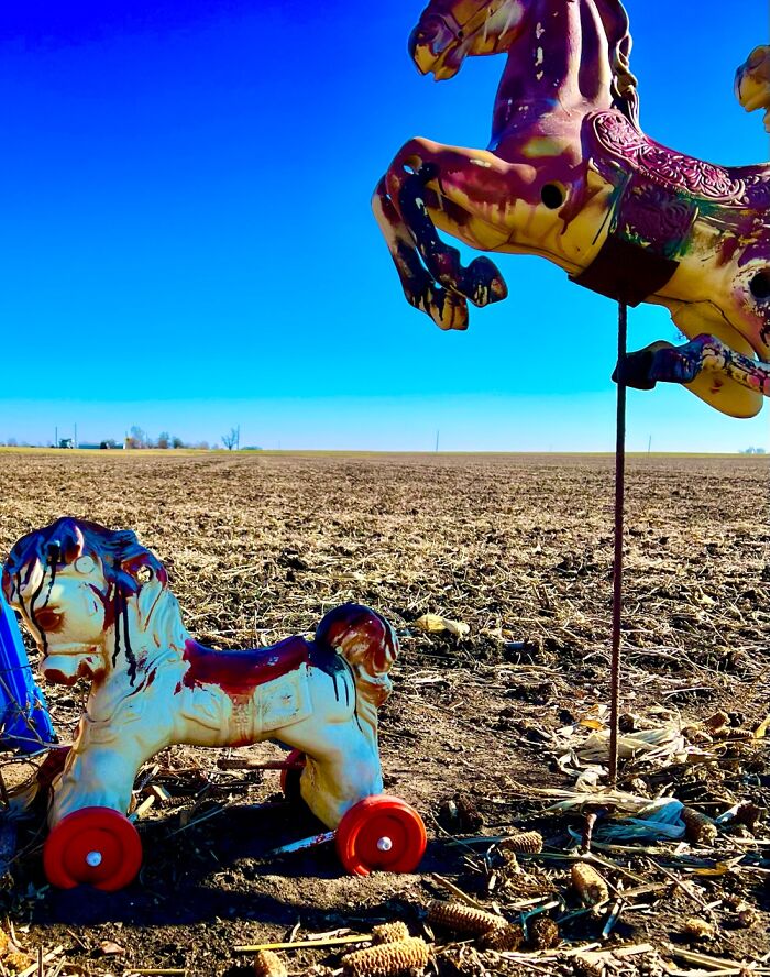 There Is A Herd Of Hobby/Carousel Horses In A Field Near Chenoa Illinois