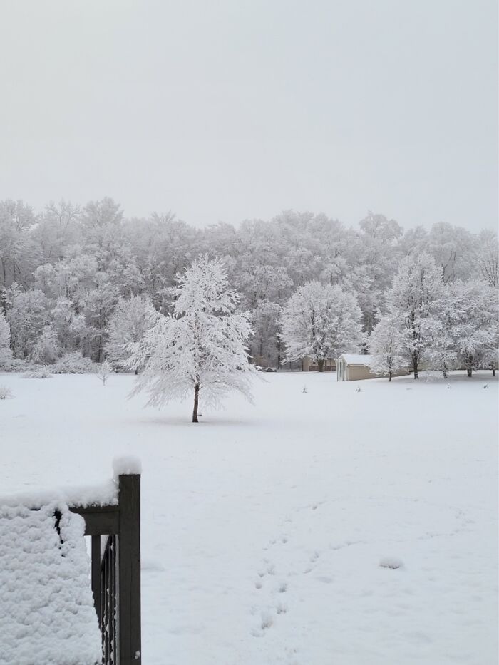 I Love Seeing This Every Year! Indiana