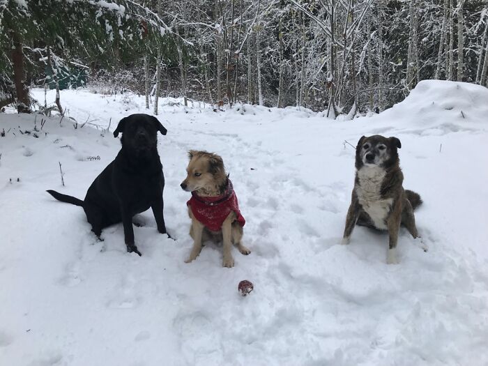Winter Three Amigos!