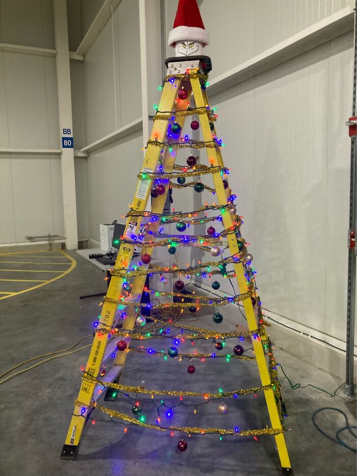 Our Tree At Work