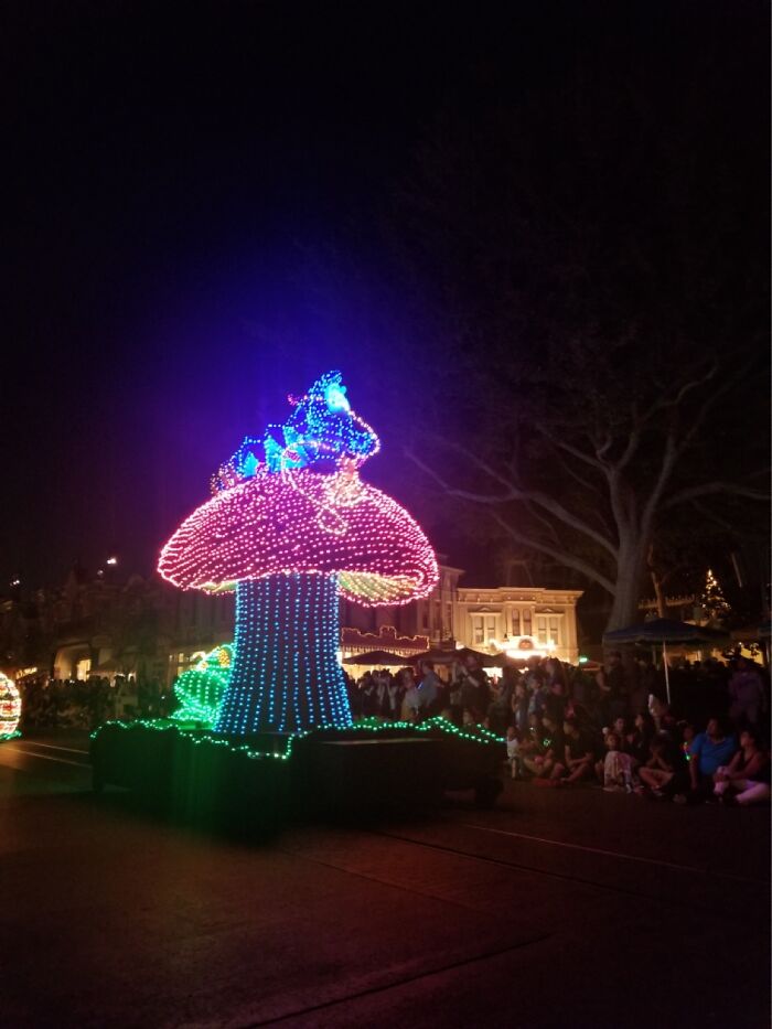Disneyland Electrical Parade!