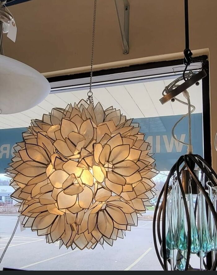 This "Flower Light" At A Restore Resale Shop