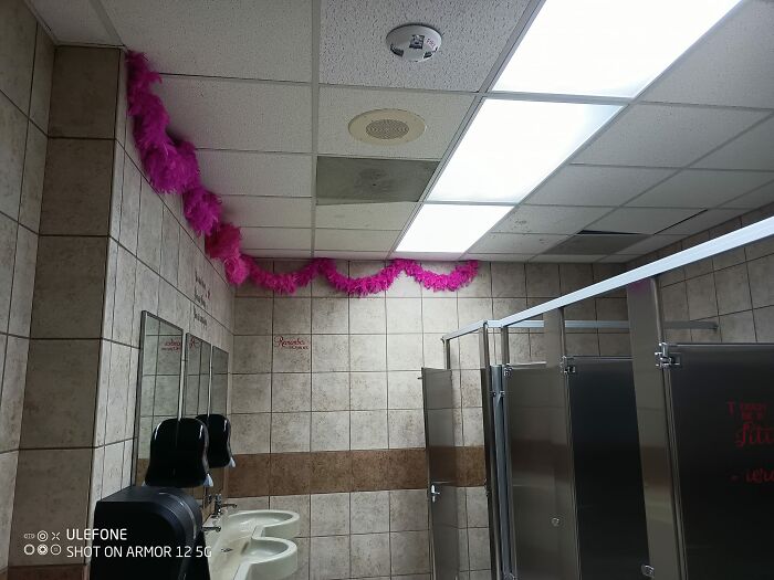 So I Used A Public Restroom And Someone Thought It Was Okay To Have A Feather Boa For Decoration... In A Public Restroom