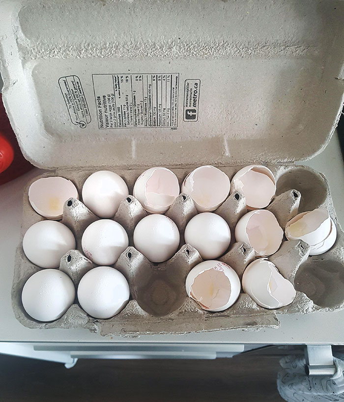My Girlfriend Puts The Broken Egg Shells Back In The Container