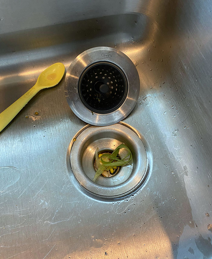 My Wife Refusing To Use The Sink Strainer Because "It Gets Clogged Too Easily"