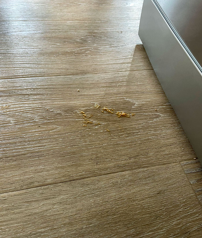 My Wife Dropped Peanut Butter On Toast. That Was 24 Hours Ago, And She Still Hasn't Cleaned It