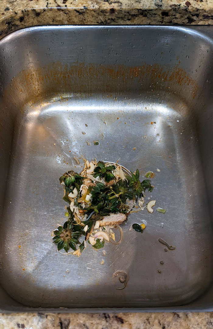 My Wife Throws Her Kitchen Scraps In The Sink Instead Of The Trash Can Because "The Disposal Can Handle It." The Sink Disposal Is Not A Trash Can