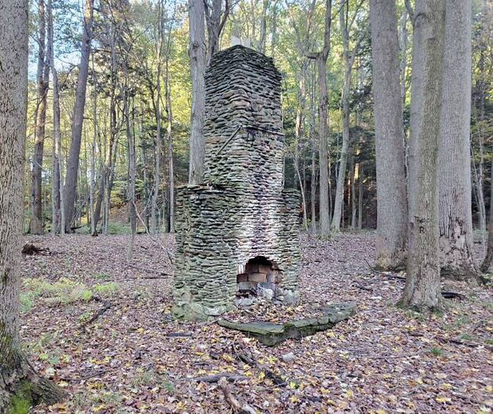 Random Old Chimney And Fireplace In The Middle Of The Woods. Found Off The Trail While Fishing In Northwest Pennsylvania