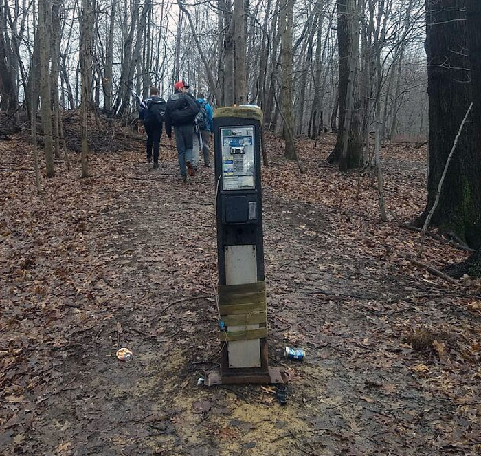 This Payphone In The Middle Of The Woods