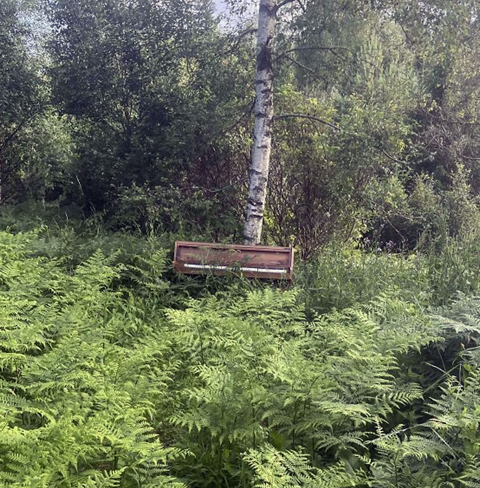 An Abandoned Piano In The Forest