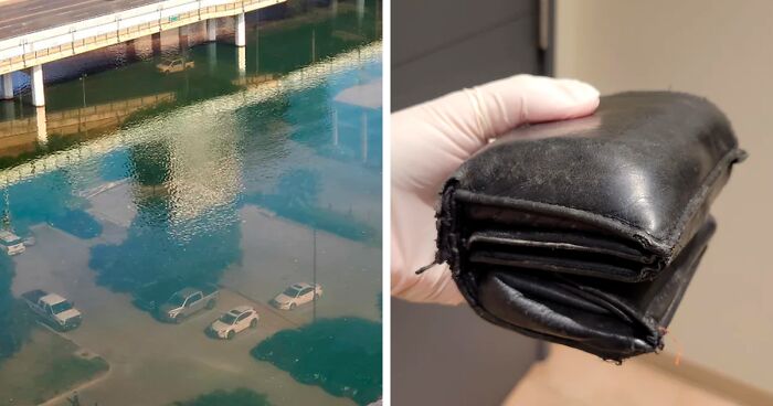 50 Times People Came Across Something ‘Mildly Interesting’ And Just Had To Share It With Everyone (New Pics)