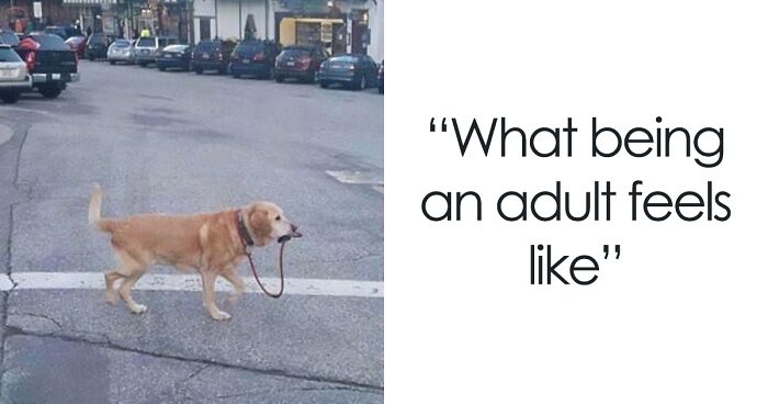 50 Painfully Funny Posts About Adulting That May Comfort You Knowing You’re Not Alone