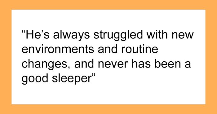 Mom Asks If She’s Being Unreasonable For Thinking About ‘Canceling Christmas’ At Her In-Laws, So As To Not Disrupt Son’s Daily Routine