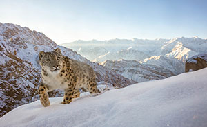 Here Are The 69 Winning Pictures Of The 2022 Nature Photographer Of The Year