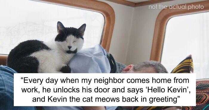 “Kevin?”: Woman Can Hear Her Neighbor Talk To Her Cat, Ends Up “Trolling” Him When He’s Desperately Looking For It