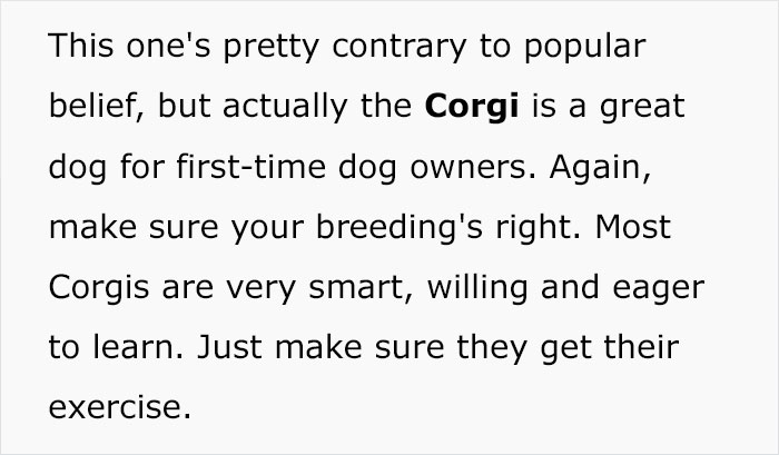 5 Worst Dog Breeds For First-Time Owners, As Shared By Trainer Of 10 Years