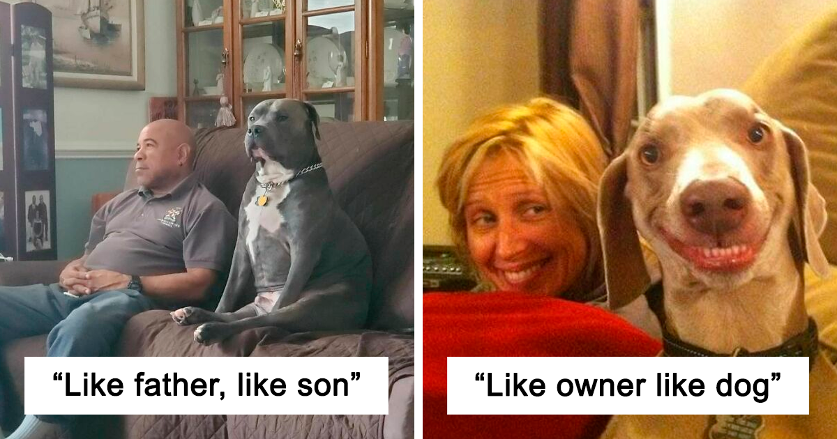 owners and pets look alike fb47