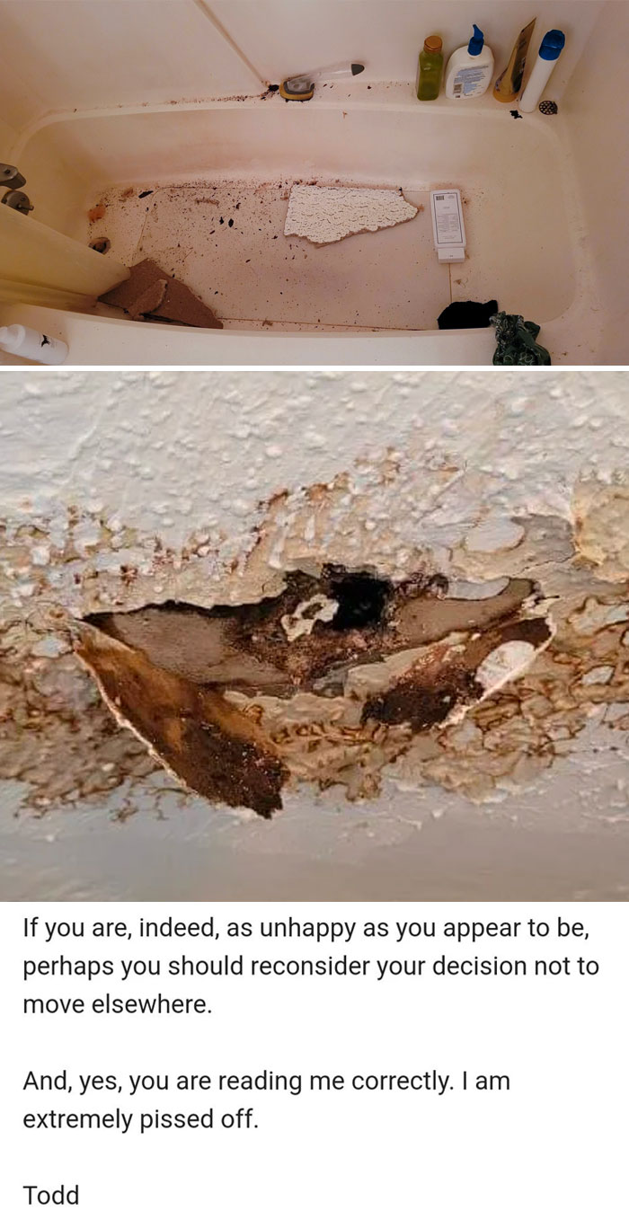 Landlord Suggests We Move Instead Of Repairing Leaky Ceilings