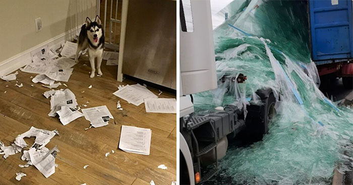 50 Photos Of People Who Are Having A Worse Day At Work Than You (New Pics)