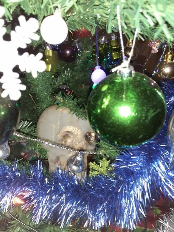 This Is Keith, The Xmas Skull. He Used To Go On Top Of The Tree But Now He Gets Tucked Into The Lower Branches Of My Mum's Tree To Scare Small Children Lol