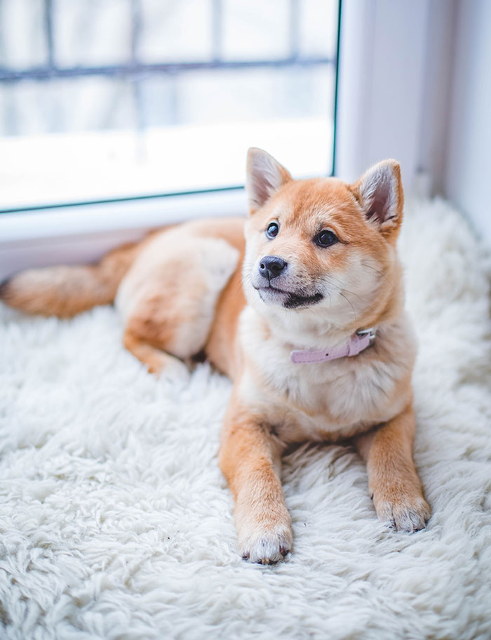 "Grandma Asked If I Was Pregnant": 30 People Open Up About What Ruined Their Christmas