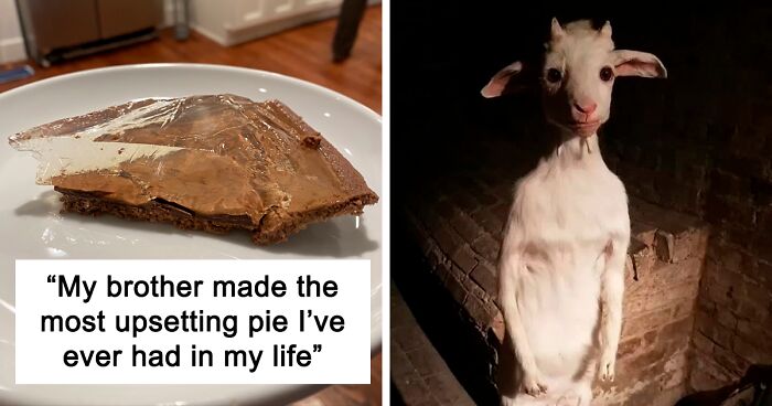 40 Times People Saw An Object With A Threatening Aura And Just Had To Share It With Others