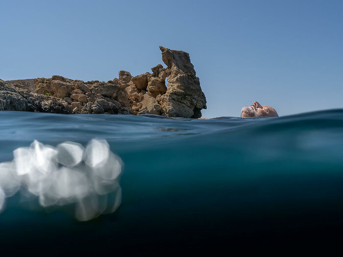 Face © Ann Prochilo