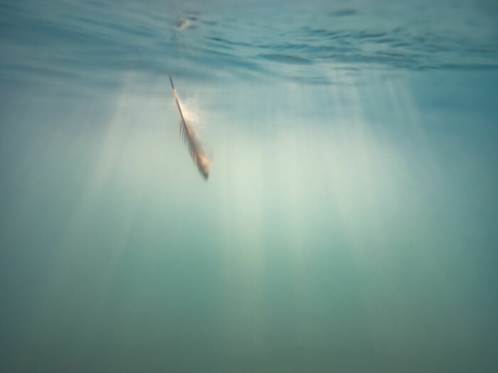 After The Fall © Ann Prochilo